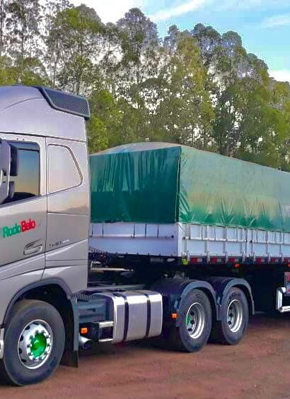 Motorista Carreteiro - Vagas Para Caminhoneiros