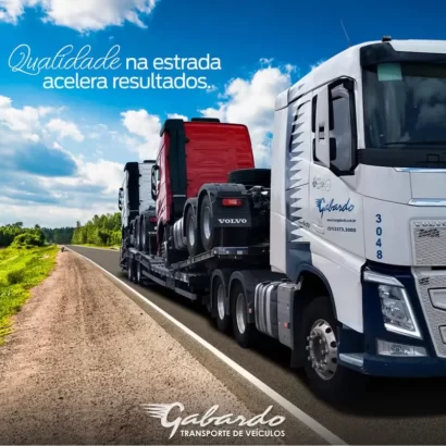 Thumbnail for Motorista Carreteiro Cegonheiro